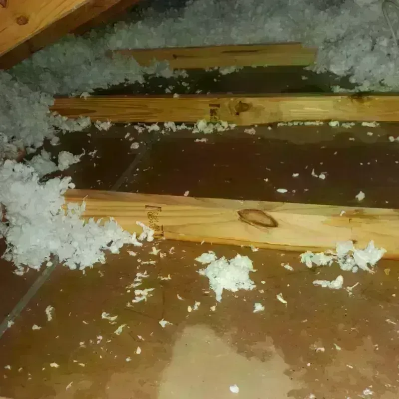 Attic Water Damage in Union County, TN